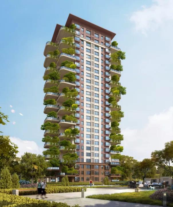 1599208510612127.jpg 6.jpg