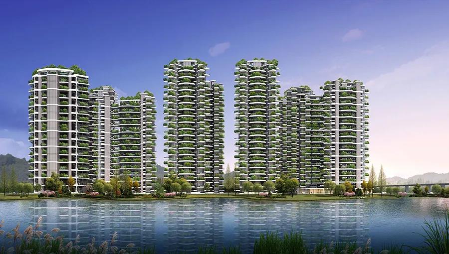 1601963539593322.jpg 6.jpg